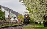 The Bradford pear trees lining Railroad Street in Tamaqua are in bloom as 2102 drifts down the grade into the center of town